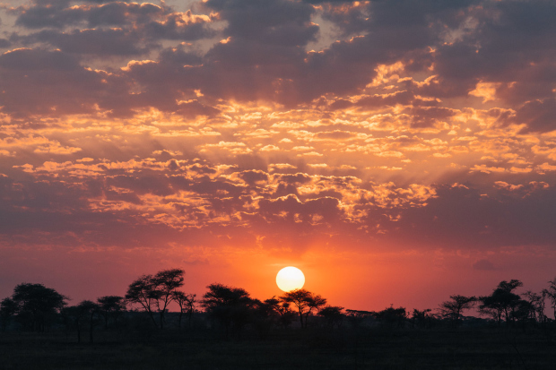 Serengeti – Sunrise