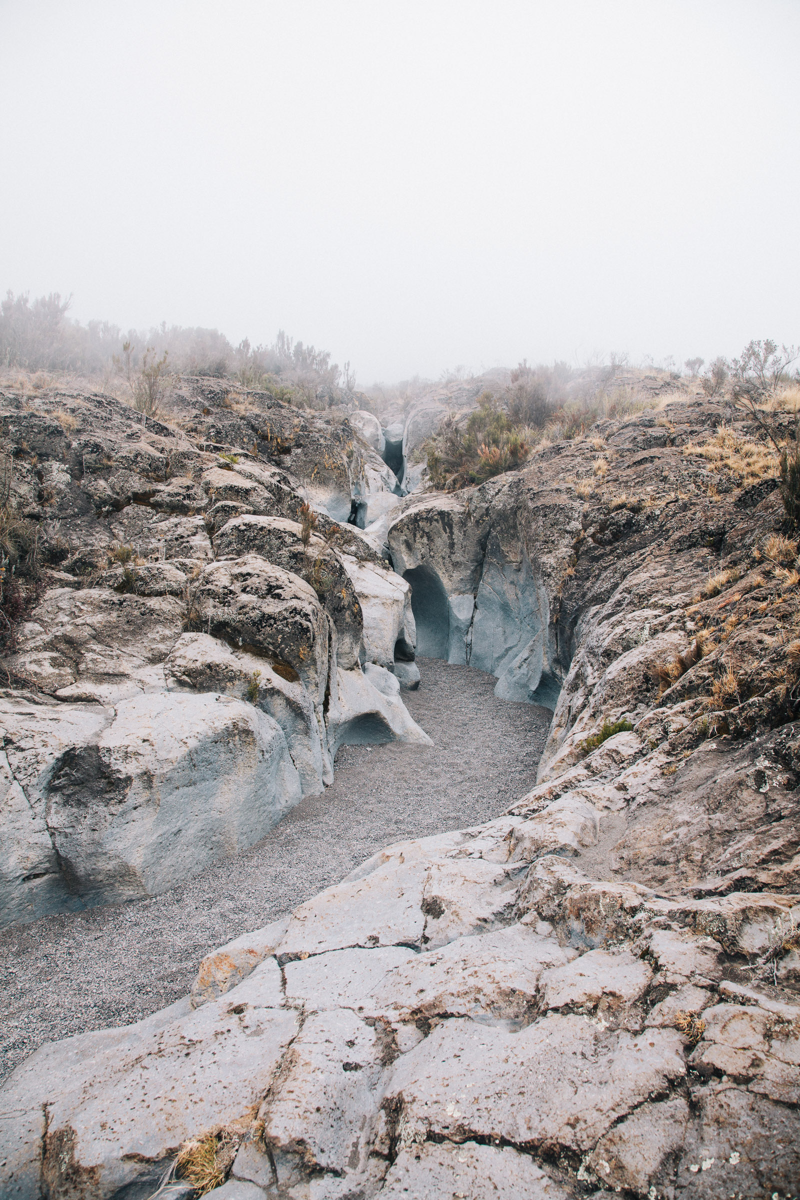 kilimanjaro dry river bed