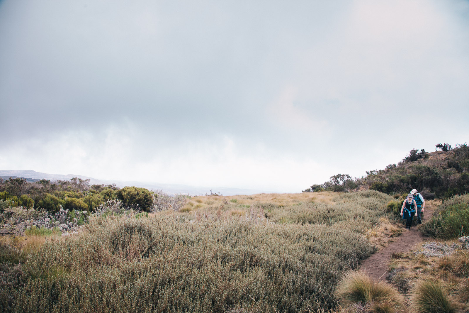 kilimanjaro fog