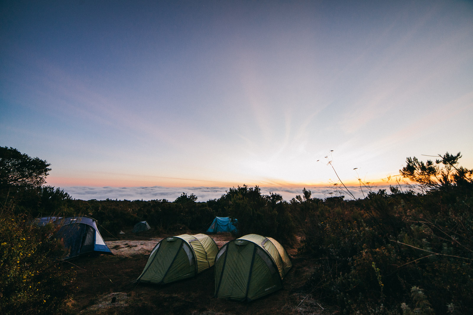 kilimanjaro morning rongai