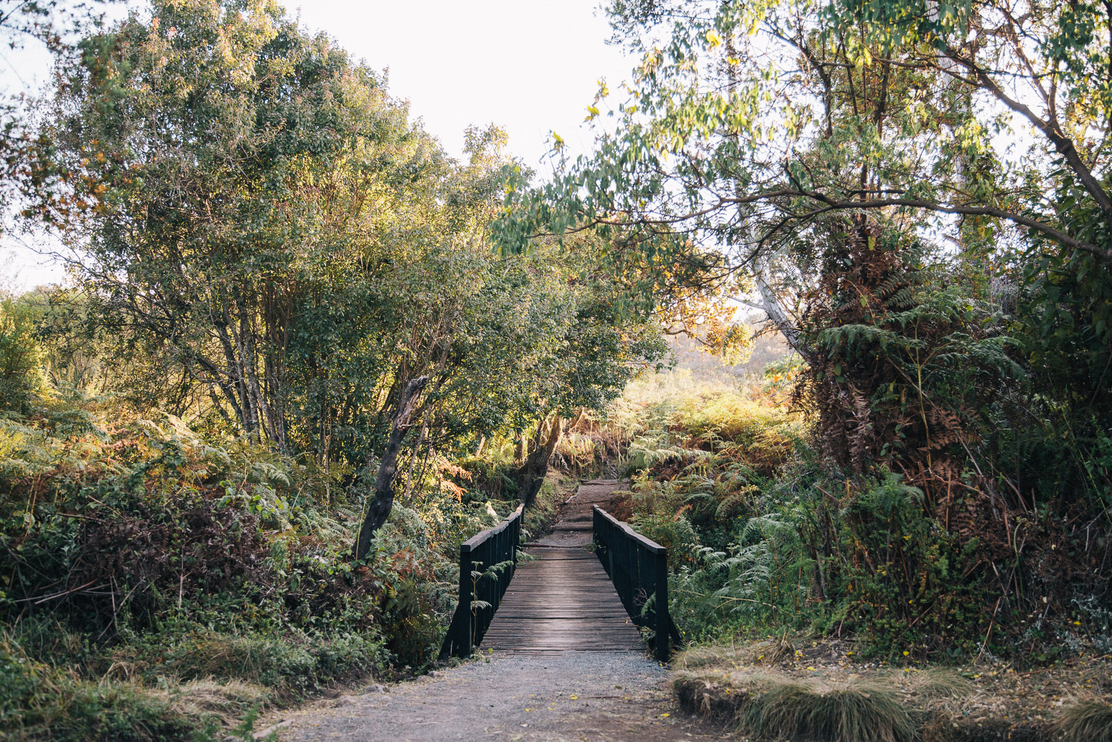 kilimanjaro rongai bridge