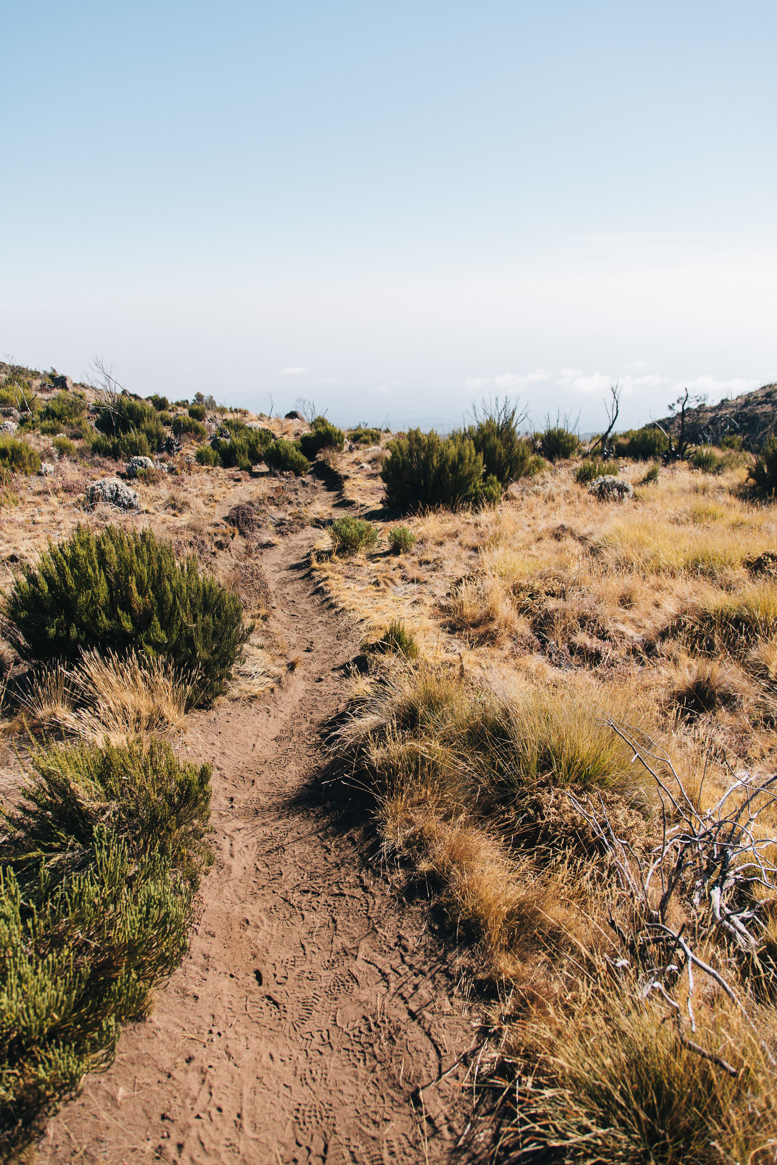 kilimanjaro rongai trail path