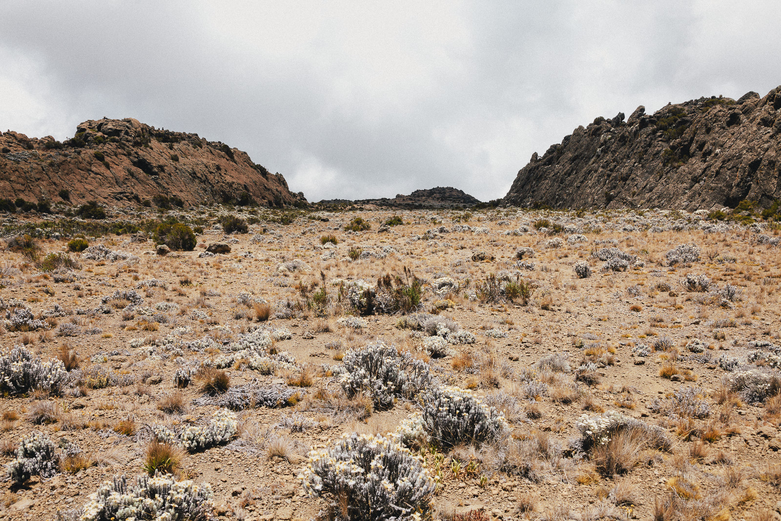 kilimanjaro-barren-valley