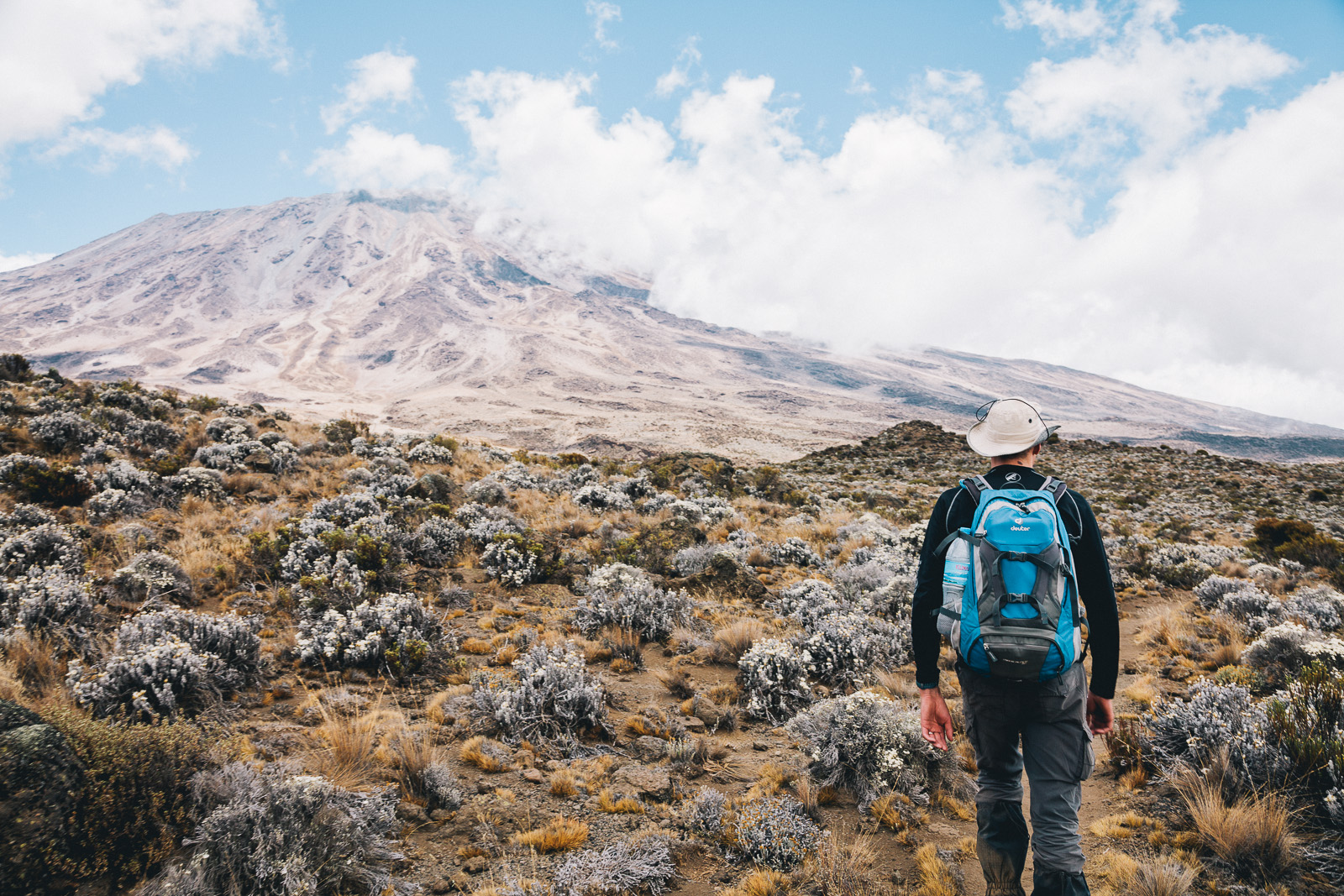 kilimanjaro-hike-approach