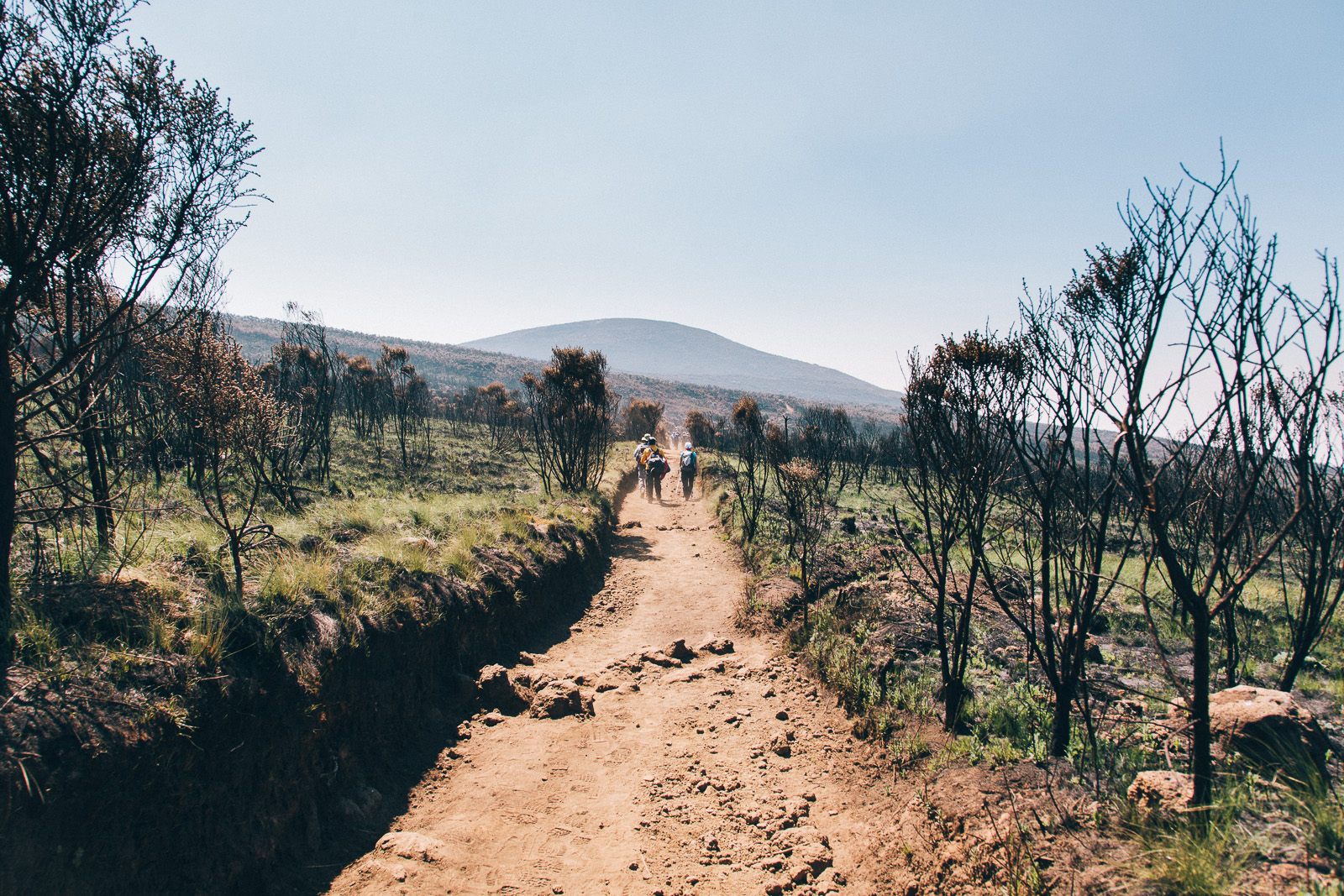 kilimanjaro-marangu-burned