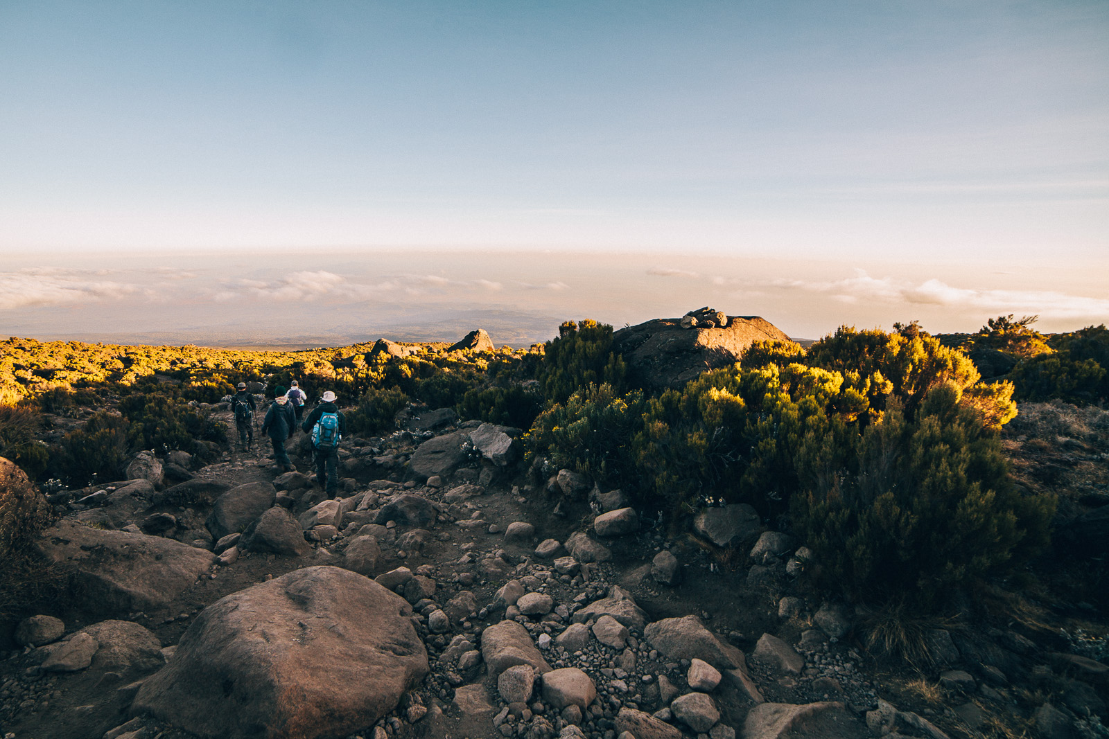 kilimanjaro-marangu-descent
