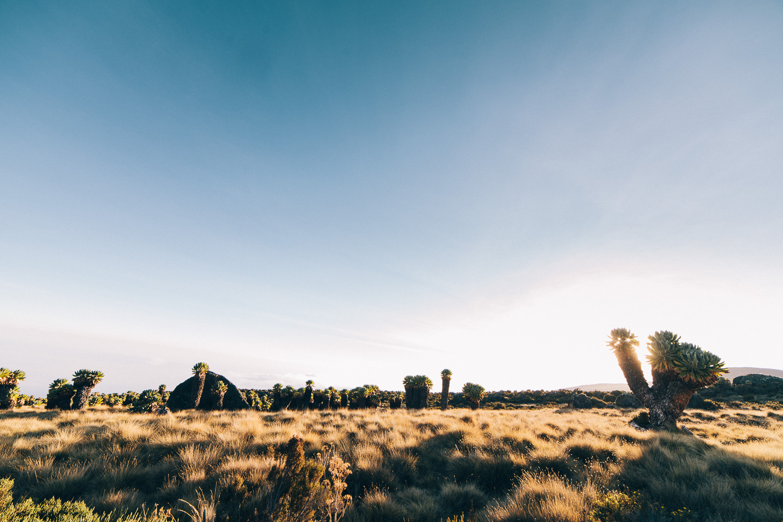 kilimanjaro-marangu-sunset