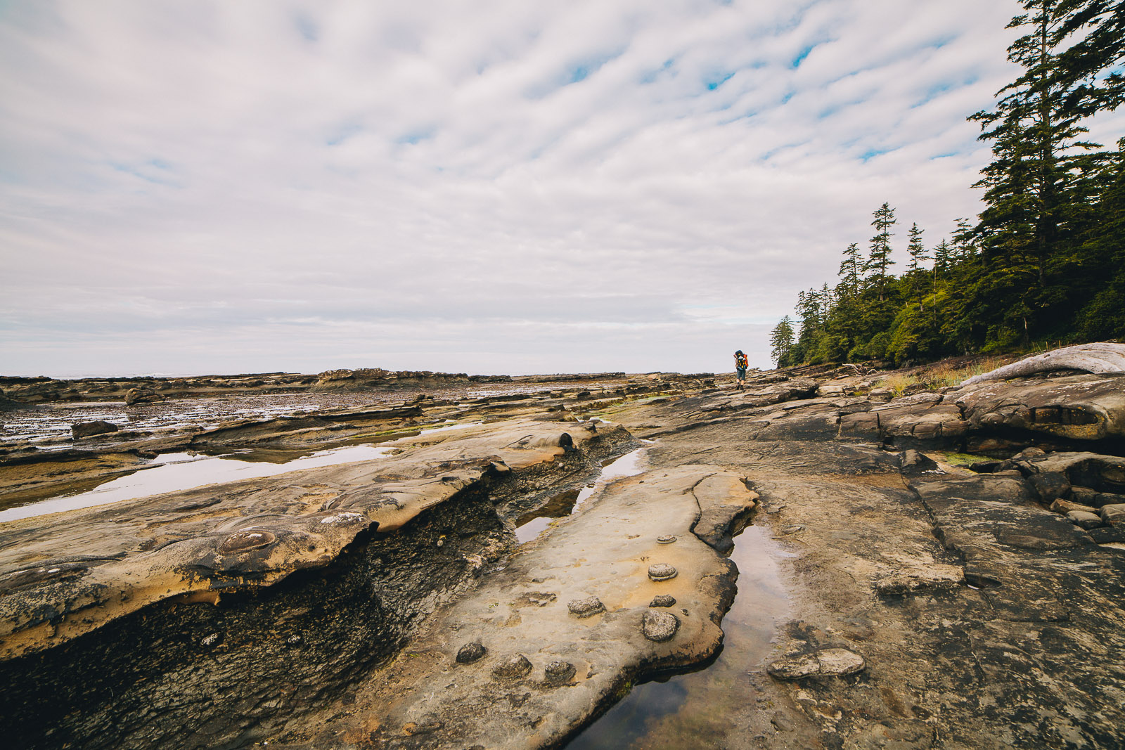 west coast trail shoreline