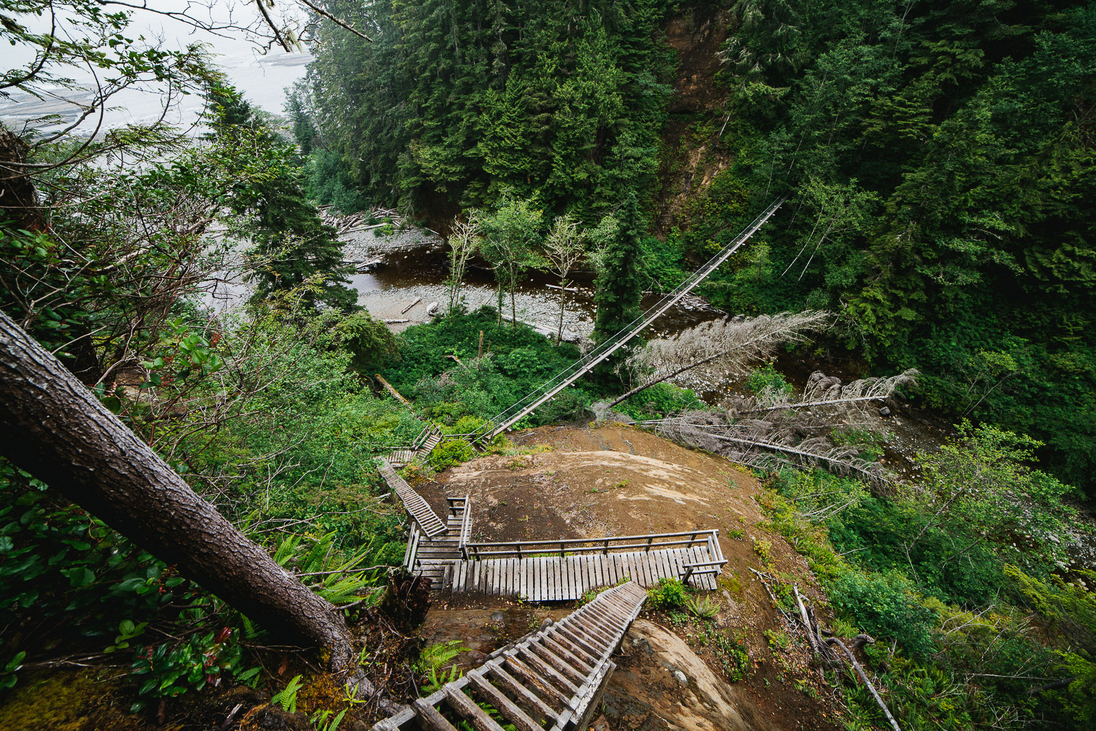 west coast trail ladders