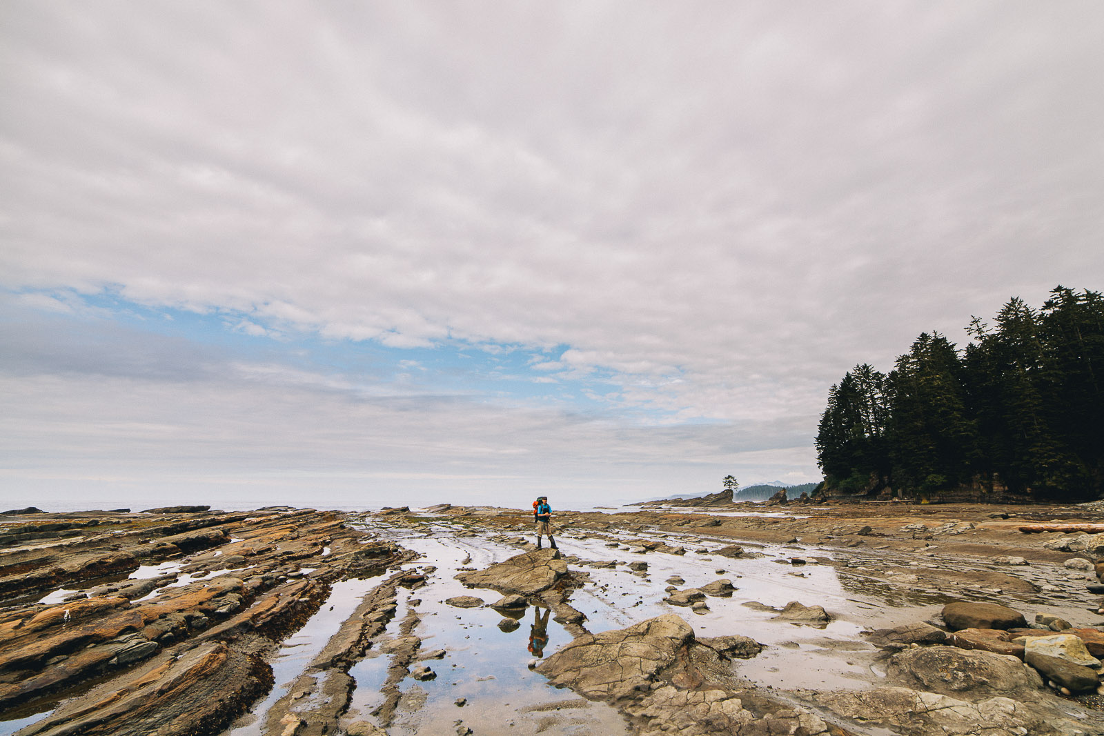 west coast trail rocks shoreline