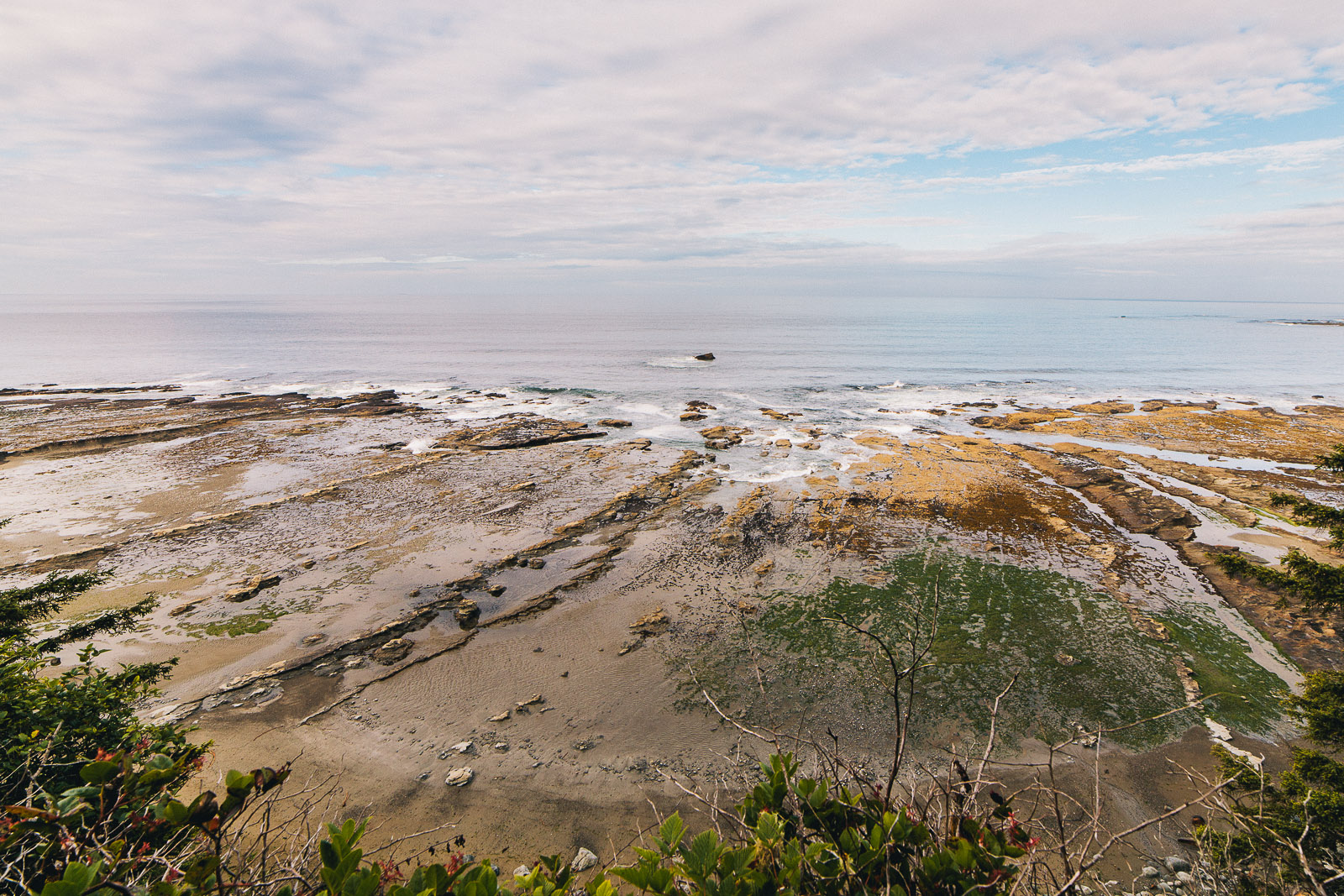 west coast trail shoreline