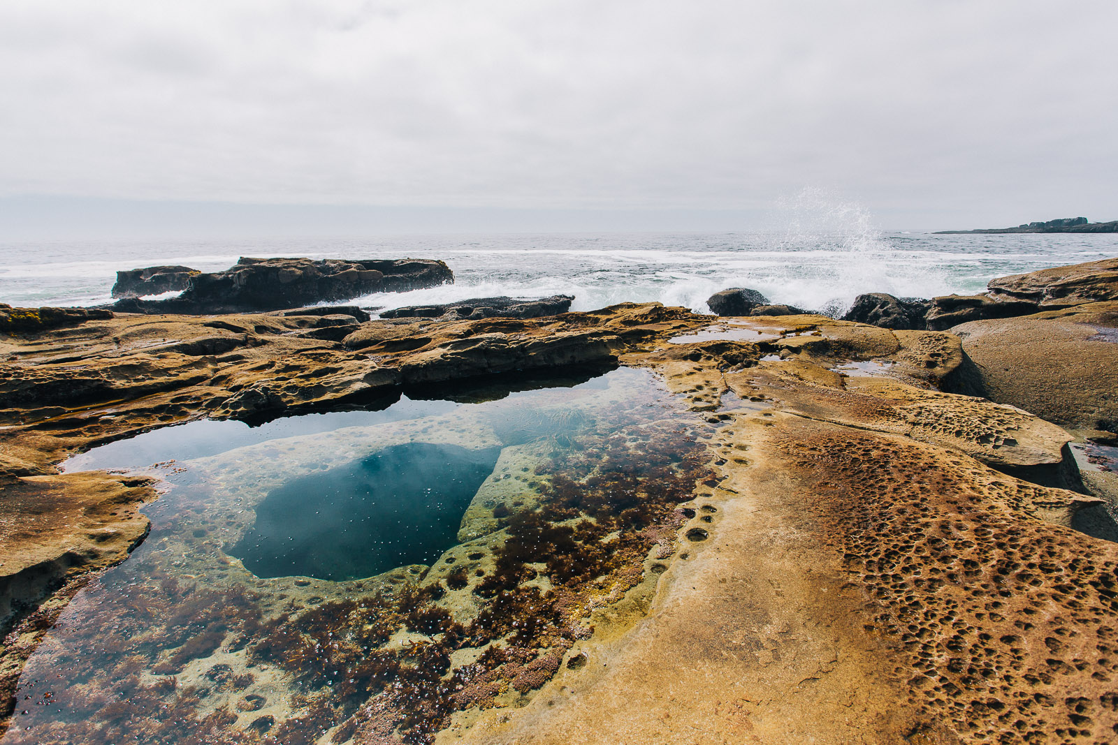 wct trail tidal pool